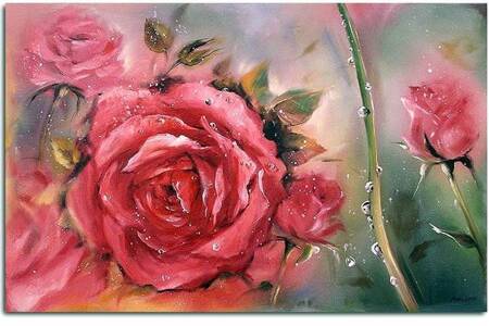 Róże - Róża Belli - 50x70 cm - G00764