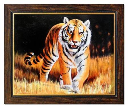 Zwierzęta - Tygrys - 53x64 cm - G02950