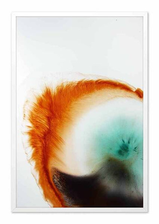 Reprodukcja - abstrakcja - 63x93 cm - G103410