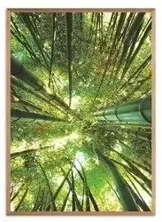 Spójrz w górę - 53x73 cm - G102229