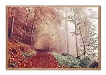 Listopadowa mgła - 63x93 cm - G102282