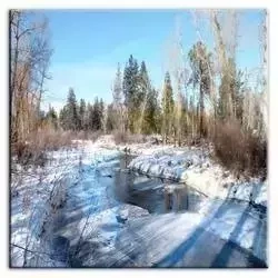 Krajobrazy - Zima w lesie - 80x80 cm - G93277