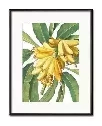 Bananowiec - 21x26 cm - G98906