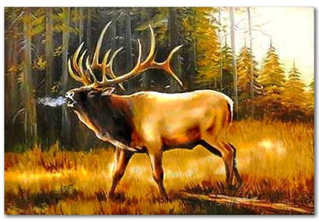 Obraz olejny - Pejzaże - 60x90 cm - G119348
