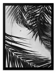 Liście palmy - 33x43 cm - G99092