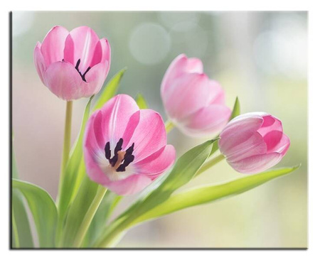 Kwiaty - Różowe tulipany - 50x40 cm - G96069