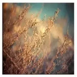 Krajobrazy - Powiew lata - 100x100 cm - G93443