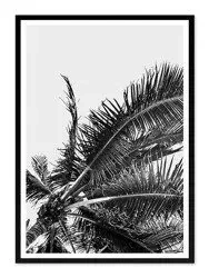 Palmowe liście - 53x73 cm - G103368