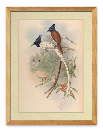 Obraz - Ptaki - 33x43cm - G114917