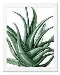 Agawa - 23x28 cm - G101021