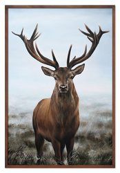 Obraz - Inne - 63x93cm - G114995