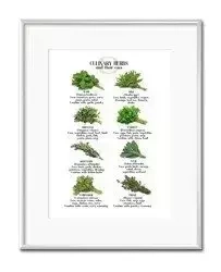 Passe partout - Ziółka - 21x26 cm - G100691