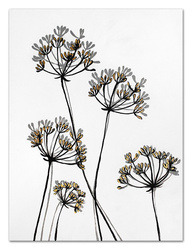 Obraz - Motywy roślinne - 80x120cm - G99847