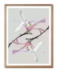 Egzotyczne kwiatki - 33x43 cm - G100517