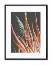 Świat cudów - 21x26 cm - G98439