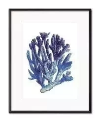 Kobaltowy wodorost - 21x26 cm - G100451