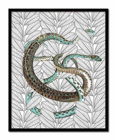 Splecione węże - 43x53 cm - G98891
