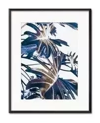 W blasku słońca - 21x26 cm - G98841