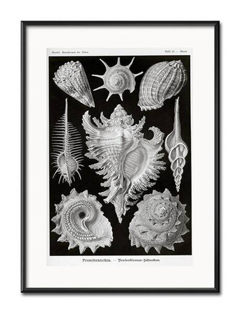 Skarby syren - 31x41 cm - G103958