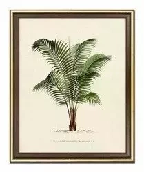 Paprotka - 23x28 cm - G100253