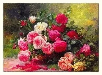 Albert Tibulle Furcy de Lavault - Róże - 50x70 cm - G92685