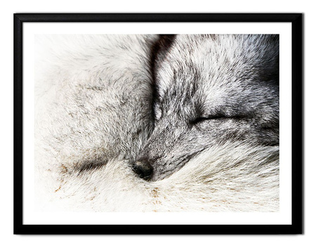 Obraz - Inne - 33x43cm - G100657