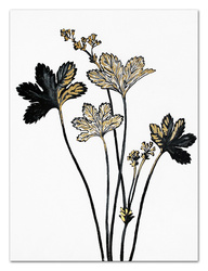 Obraz - Motywy roślinne - 80x120cm - G99843