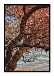 Czerwone drzewo - 63x93 cm - G102275