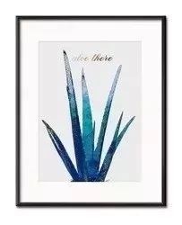 Aloes - 21x26 cm - G98819