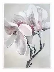 Obraz olejny - magnolia - 53x73 cm - G104480