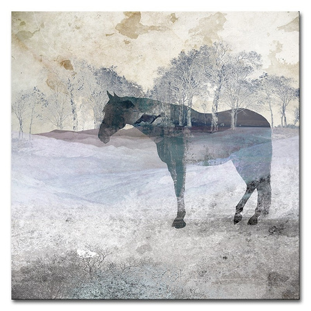 Obraz - Konie - 60x60cm - G98463