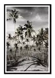 Palmowa wyspa - 63x93 cm - G101308