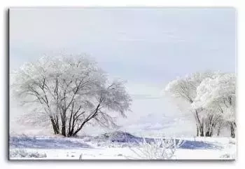 Krajobrazy - Śnieżny pejzaż - 60x90 cm - G93281