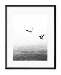 Lot - 21x26 cm - G99680