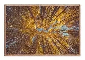 Spójrz w górę - 63x93 cm - G102279