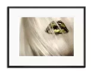 Złote usta - 21x26 cm - G98386