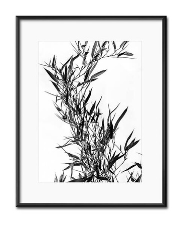 Krzew - 21x26 cm - G101796