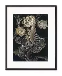 Kwiat nocy - 21x26 cm - G98448