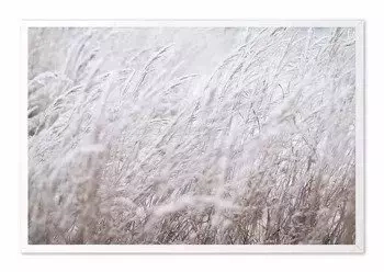 Babie lato - 63x93 cm - G104293