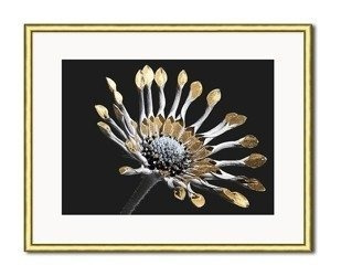 Egzotczny kwiat - 21x26 cm - G99702