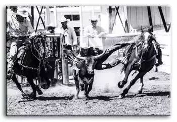 Ludzie - Rodeo - 60x90 cm - G93474