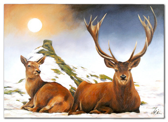 Obraz olejny - Zwierzęta - 60x90 cm - G118964
