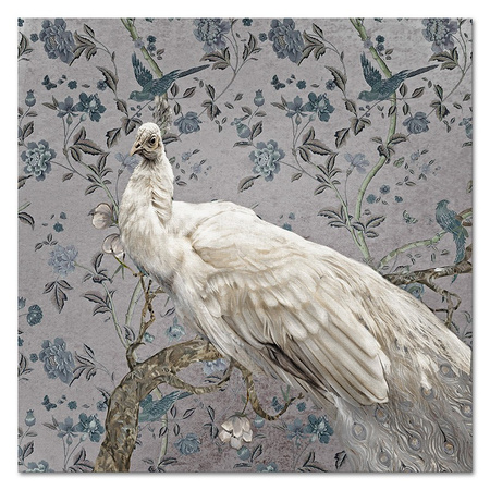 Obraz - Ptaki - 60x60cm - G107301