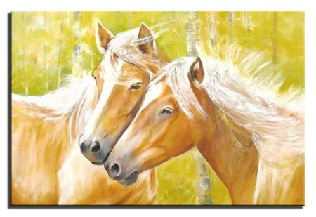 Obraz - Konie - 60x90cm - G02112