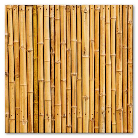 Bambus - 30x30 cm - G102246