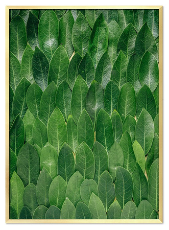 Obraz - Tropikalne liście i kwiaty - 53x73cm - G115685