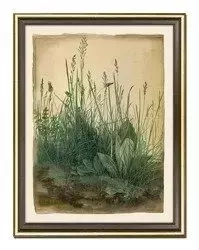 Albrecht Durer - Studium traw - 33x43 cm - G99342