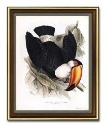 Tukan - 23x28 cm - G100203