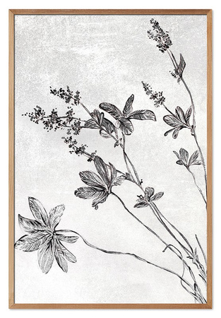 Obraz - Motywy roślinne - 63x93cm - G115728
