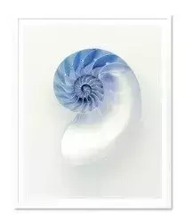 Schody na dno oceanu - 43x53 cm - G101752